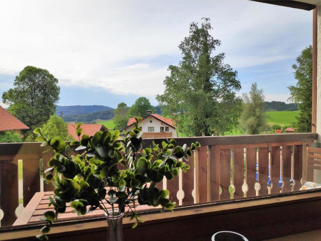 Ferienwohnung Allgaeuglueck Im Ferienpark Oberallgaeu Mit Hallenbad, Sauna, Wlan Missen-Wilhams Eksteriør bilde